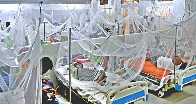 ২৪ ঘণ্টায় আরও ২১৪ ডেঙ্গু রোগী হাসপাতালে ভর্তি
