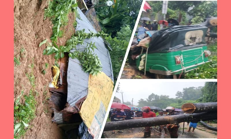 টানা বর্ষণে রাঙ্গুনিয়ায় ব্যাপক ক্ষয়ক্ষতি