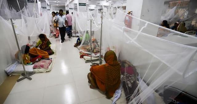 ২৪ ঘণ্টায় হাসপাতালে আরও ২২৪ ডেঙ্গু রোগী