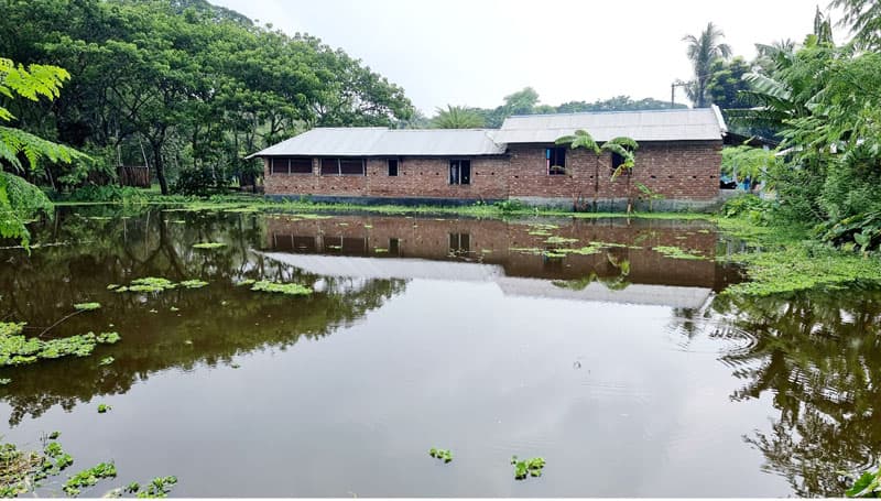 কেশবপুরে সরকারী কালভার্ট বন্ধ করে মাছের ঘের, ৩০ পরিবারে জলাবদ্ধতা