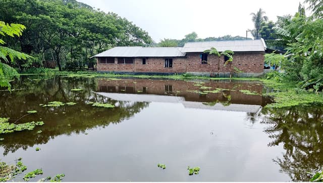 কেশবপুরে সরকারী কালভার্ট বন্ধ করে মাছের ঘের, ৩০ পরিবারে জলাবদ্ধতা