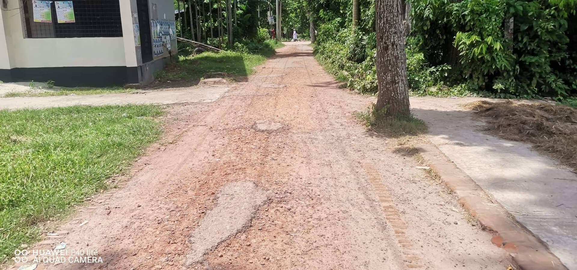 নড়িয়া পৌরসভার সড়কগুলোর বেহাল দশা, জনদুর্ভোগ চরমে