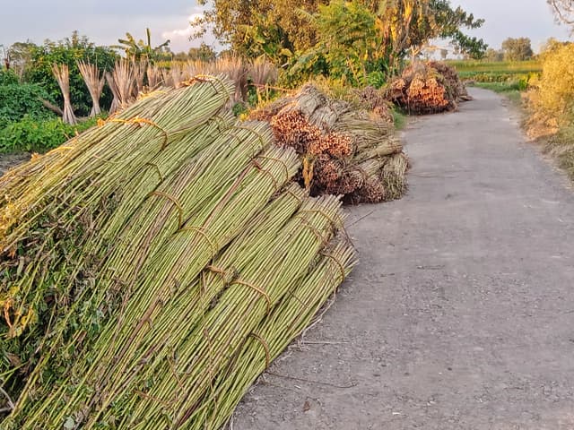 পাট'নি পাগল হইয়ি যায়ছি, কে শুনবে আমার কথা?