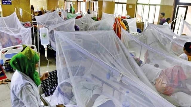 ডেঙ্গু আক্রান্ত হয়ে হাসপাতালে আরও ২২৬ জন