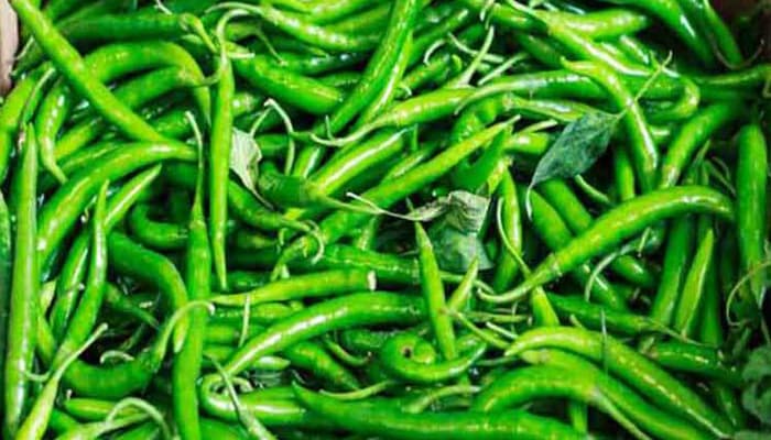 কাঁচা মরিচের কেজি ৩২০