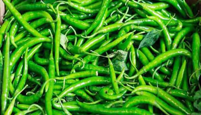 কাঁচা মরিচের কেজি ৩২০