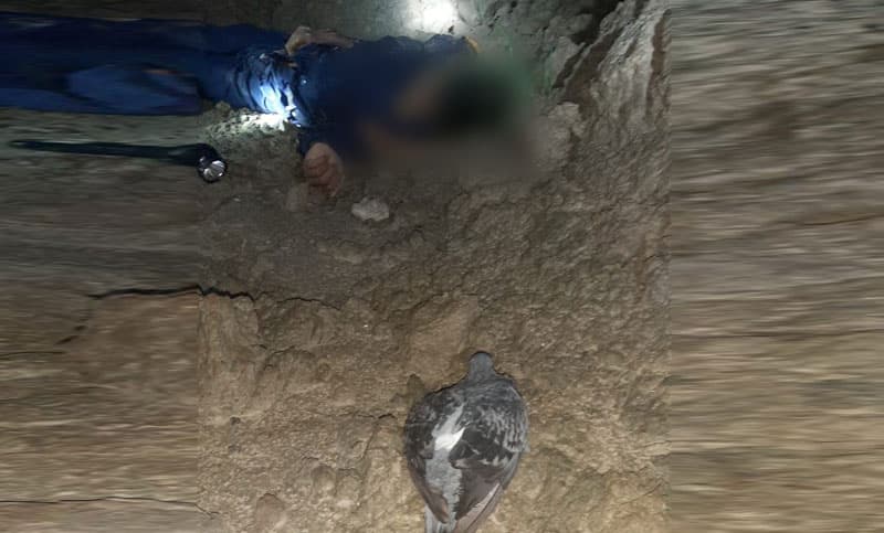 বড়াইগ্রামে কবুতর ধরতে গিয়ে যুবকের মৃত্যু