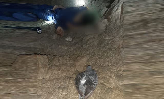 বড়াইগ্রামে কবুতর ধরতে গিয়ে যুবকের মৃত্যু