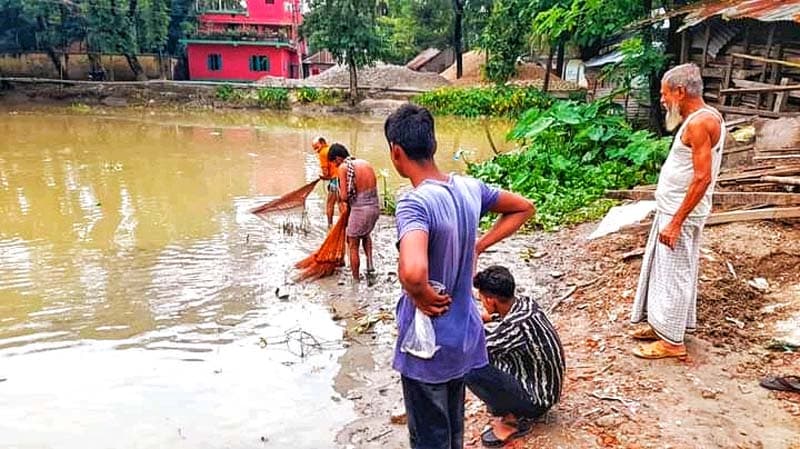 রাজাপুরে খালে বিষ দিয়ে দেশী প্রজাতির মাছ নিধন!