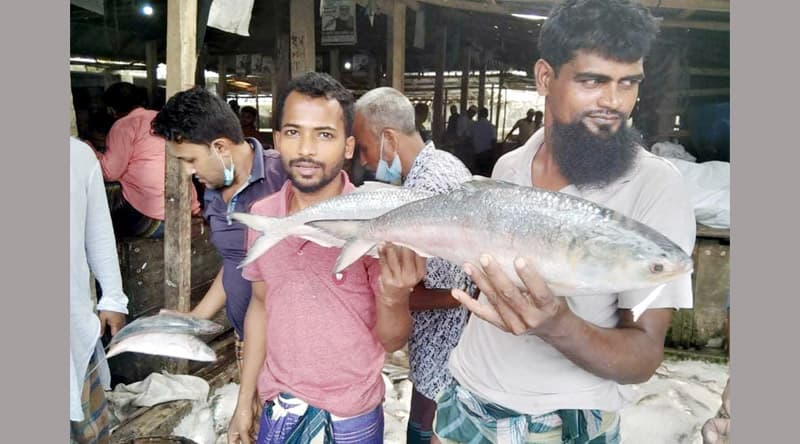এক ট্রলার ইলিশের দাম ২৭ লাখ !
