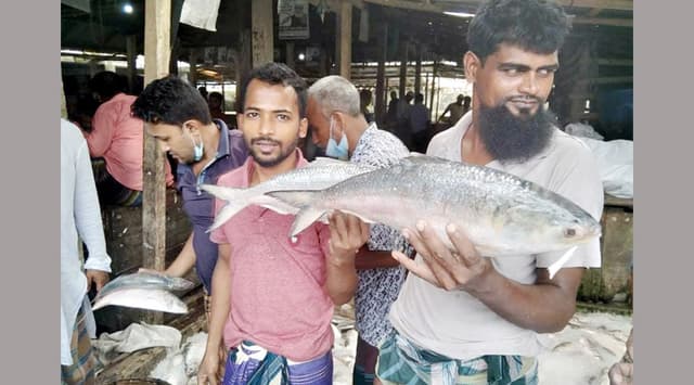 এক ট্রলার ইলিশের দাম ২৭ লাখ !