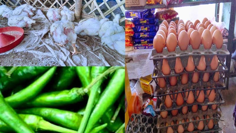 সরাইলে হঠাৎ ডিম মুরগির দাম আকাশ ছোঁয়া,  বাড়ছে মরিচের ঝাল