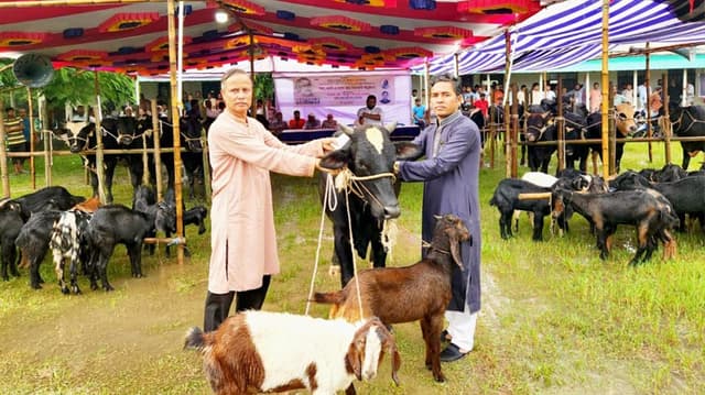 দেবীদ্বারে জাতীয় শোক দিবস উপলক্ষে গরু-ছাগলসহ নগদ অর্থ বিতরণ