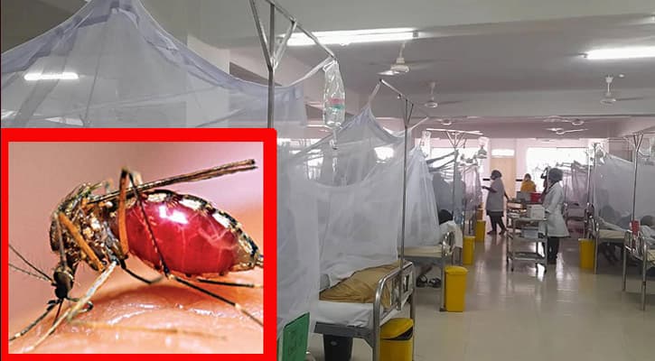 বরিশালে ২৪ ঘণ্টায় চার ডেঙ্গুরোগীর মৃত্যু