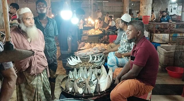 ভোলায় ইলিশের সরবরাহ কম, দাম চড়া