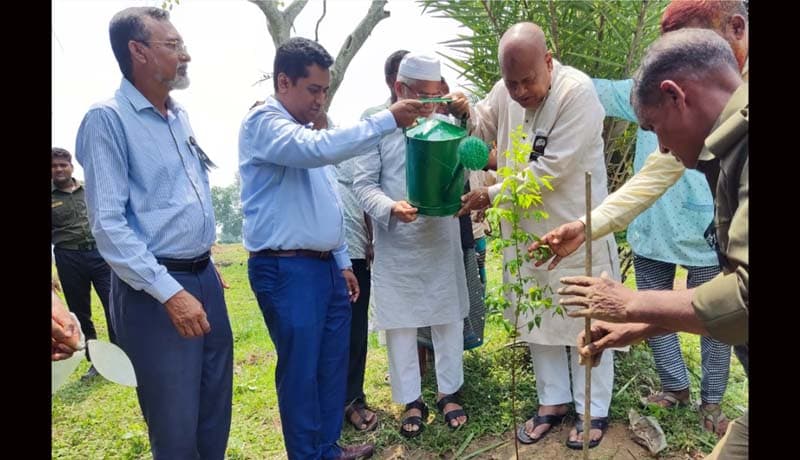 ধামইরহাটে বনায়ন কাজের উদ্বোধন