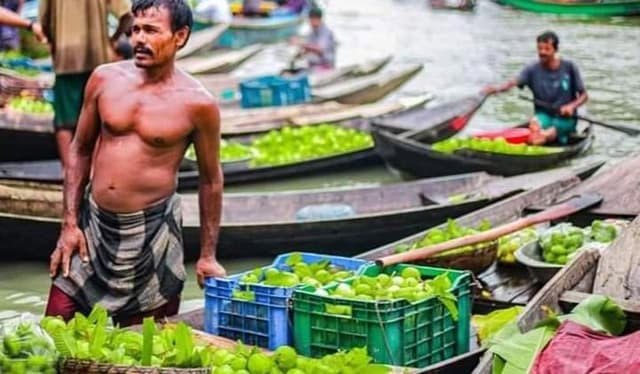 পদ্মা সেতুর সুফলবঞ্চিত দখিনের পেয়ারা চাষিরা !
