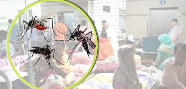 ডেঙ্গুতে আরও ১০ জনের মৃত্যু, হাসপাতালে ভর্তি ২১৩৪