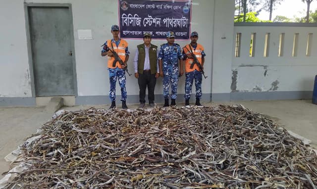 পাথরঘাটায় ৫ কোটি টাকা মূল্যের নিষিদ্ধ হাঙ্গরের শুটকি জব্দ
