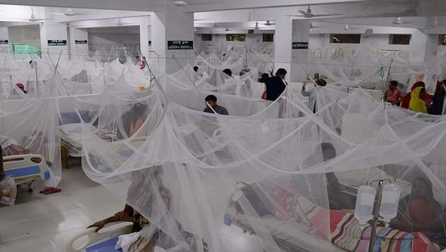 এক দিনে হাসপাতালে আরও ২৭৮ ডেঙ্গু রোগী