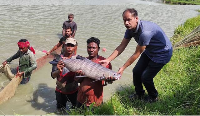 চাইনিজ কার্প মাছের রেনু উৎপাদনে অভাবনীয় সাফল্য