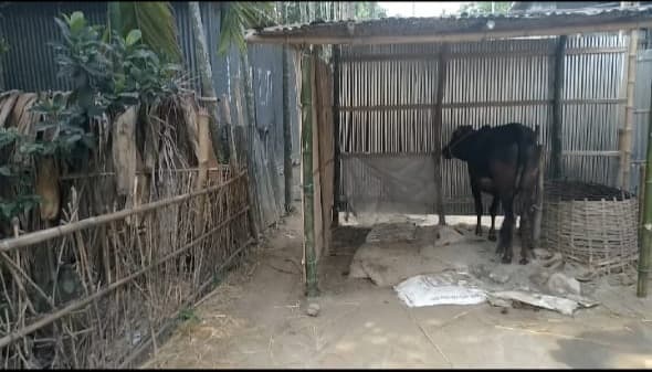 ভূরুঙ্গামারীতে রাস্তা বন্ধ করে ঘর নির্মাণ, ভোগান্তিতে অর্ধশত পরিবার