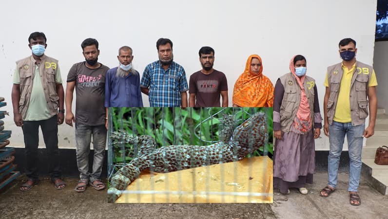 বরিশালে বন্যপ্রাণী তক্ষকসহ আটক-৫