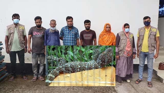 বরিশালে বন্যপ্রাণী তক্ষকসহ আটক-৫