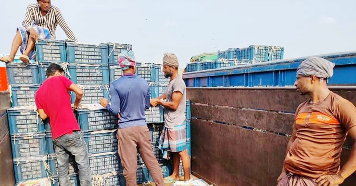 দীর্ঘ দিন পরে হিলি স্থলবন্দর দিয়ে ফল আমদানি শুরু