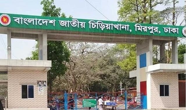সাড়ে ৪ মাস পর চিড়িয়াখানা খুলছে শুক্রবার