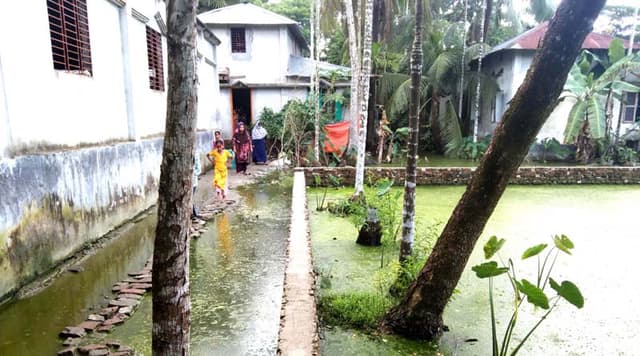 লালমোহনে ডোবায় পড়ে গৃহবধূর মৃত্যু