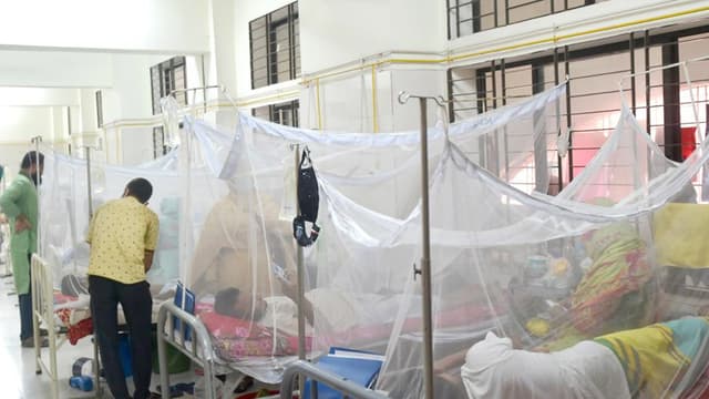 ডেঙ্গুতে আরও ১১ জনের মৃত্যু