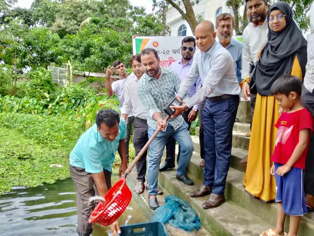 সরাইলে রুই জাতীয় মাছের পোনা অবমুক্তকরণ