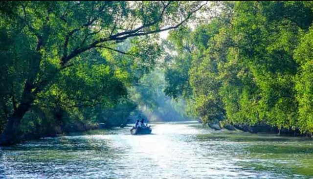 ১ সেপ্টেম্বর পর্যটকের জন্য খুলছে সুন্দরবন