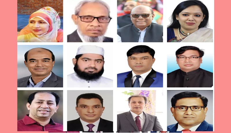 দ্বাদশ সংসদ নির্বাচনে ব্রাহ্মণবাড়িয়া-২ আসনে প্রার্থীর ছড়াছড়ি