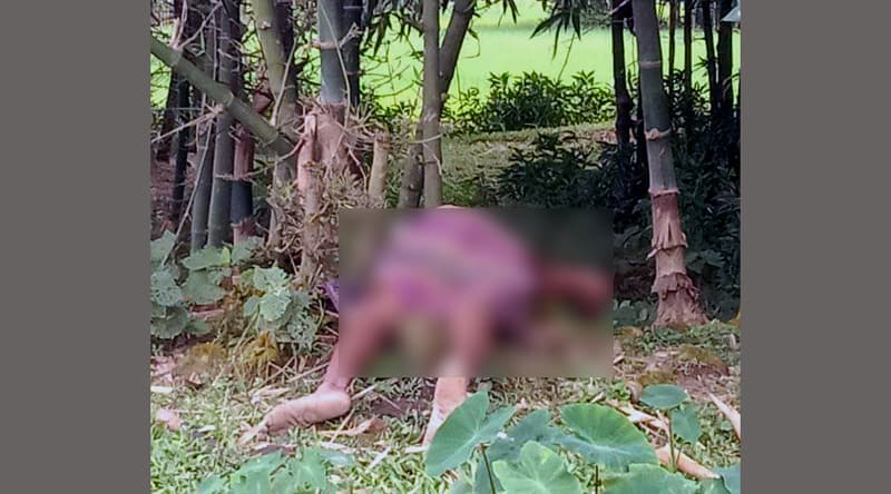 দুর্গাপুরে বিদ্যুৎস্পৃষ্ট হয়ে কৃষকের মৃত্যু