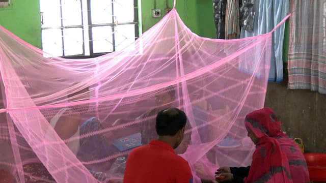 ঝিনাইদহে ডেঙ্গুতে আক্রান্ত হয়ে একজনের মৃত্যু, নতুন আক্রান্ত ২৫