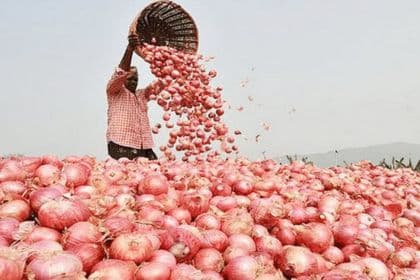 ভারতের বিকল্প হিসেবে পাকিস্তান সহ ৪ দেশ থেকে আসছে পেঁয়াজ