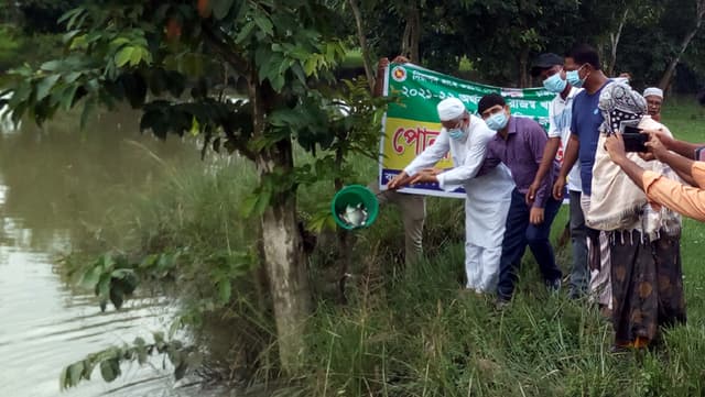 ধামইরহাটে প্রাতিষ্ঠানিক ও উন্মুক্ত বিলে মাছের পোনা অবমুক্ত