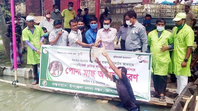 আশাশুনিতে মৎস্য সপ্তাহ উপলক্ষে মাছের পোনা অবমুক্ত
