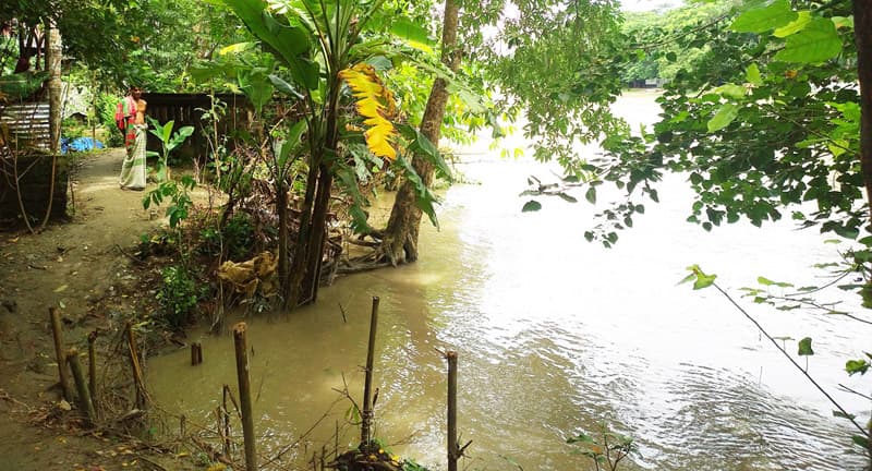 মোগো সব শ্যাষ হইয়া গ্যাছে
