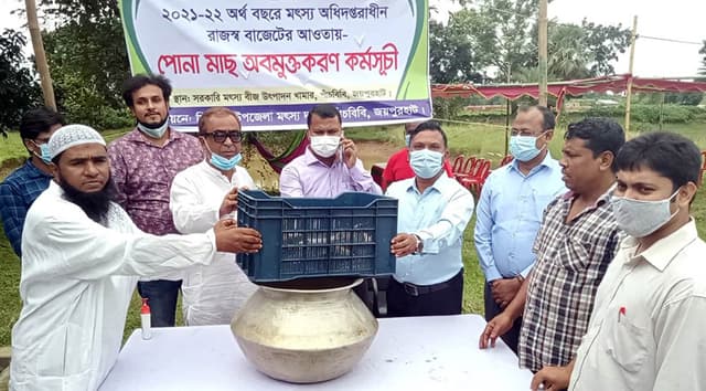 পাঁচবিবিতে বিনামূল্যে মাছের পোনা বিতরণ