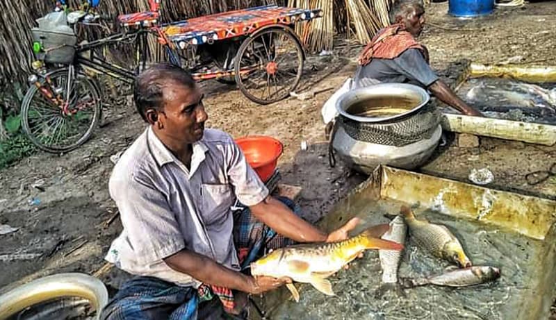 গাংনীতে মাছের বাজারে আগুন