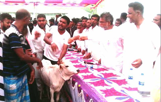 হিজলা গৌরবদীতে অর্ধশত গরু বিতরণ