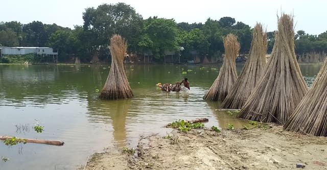 পদ্মার পানি বিপৎসীমার ১০ সেন্টিমিটার ওপরে