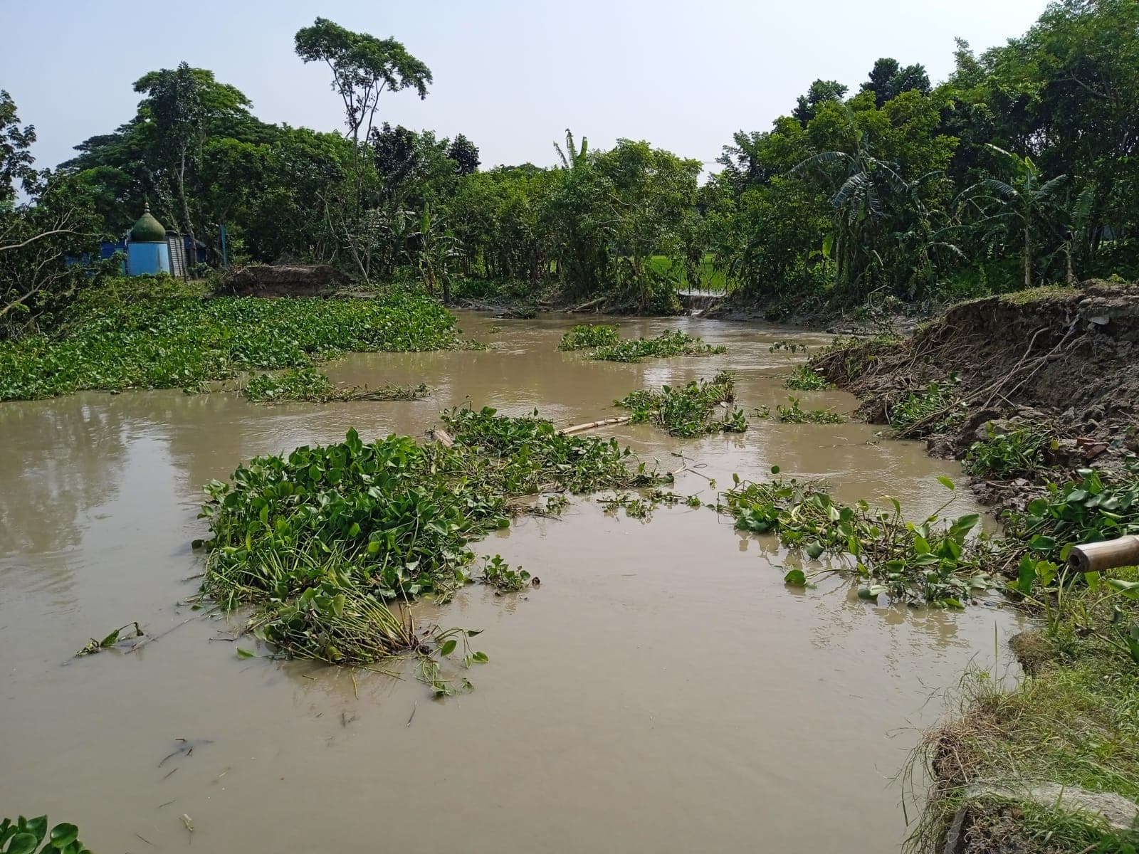 বাবুগঞ্জে নদীভাঙনে সড়ক বিলীন, যোগাযোগ বিচ্ছিন্ন