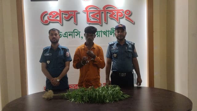 বাড়ির ছাদে গাঁজা চাষ, কেয়ারটেকার গ্রেফতার