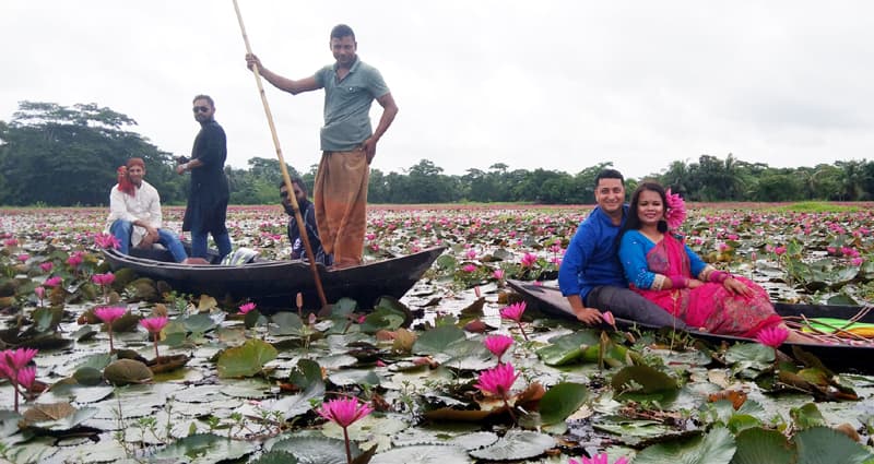 উজিরপুরের লাল শাপলা বিল ঘিরে আর্থসামাজিক উন্নয়ন