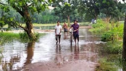 কালিয়াকৈরে অর্ধশতাধিক গ্রামবাসী পানিবন্দি