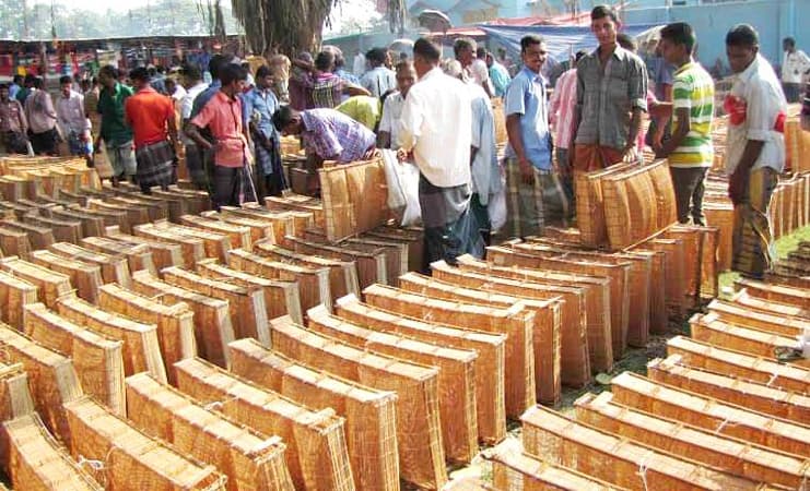 বর্ষার আগমনী বার্তায় আত্রাইয়ে খলশানি বিক্রির ধুম